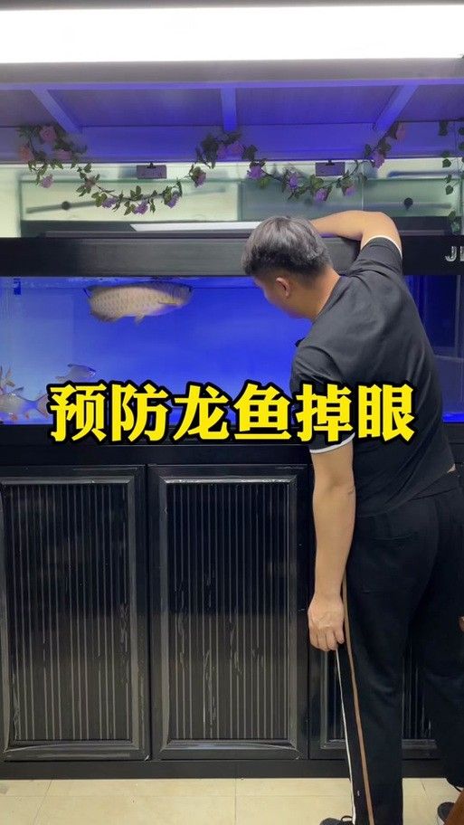 龍魚(yú)掉眼能自己恢復(fù)嗎圖片