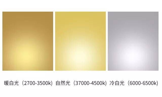 紅龍魚led燈和865的區(qū)別(紅龍魚幼龍期led燈與865燈對比)