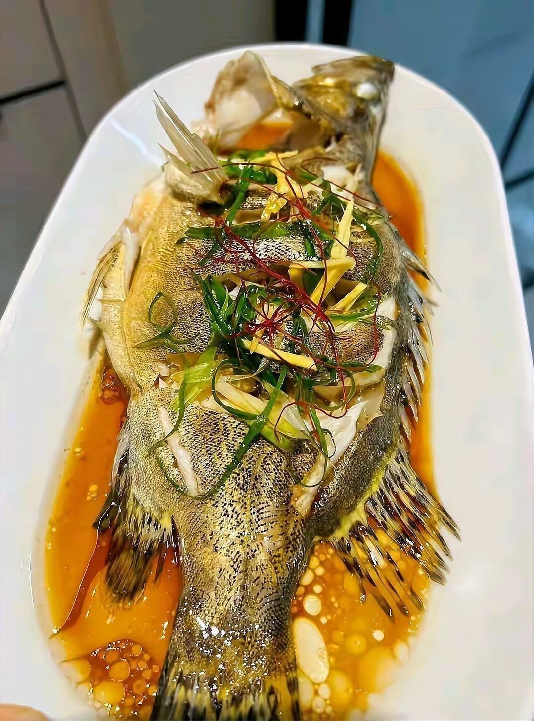 十大最好吃的魚排名 十大最好吃的魚排名 龍魚百科 第2張
