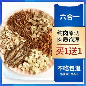 龍魚的養護和管理措施：龍魚不吃飼料與飼料搭配建議，龍魚不吃飼料怎么辦