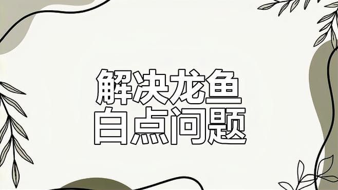 如何預防龍魚眼睛白點的發(fā)生？