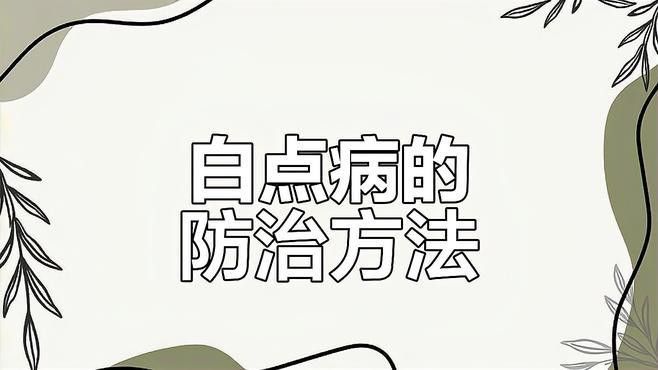如何預防龍魚眼睛白點的發(fā)生？