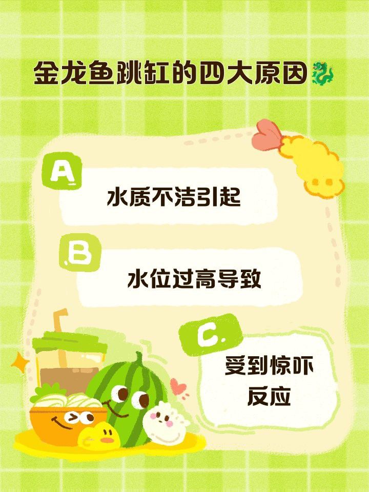 如何與過背金龍魚建立互動關系？