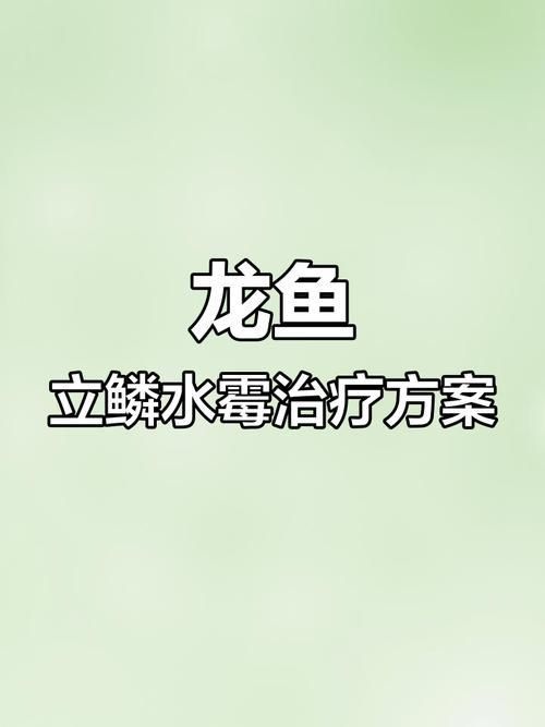 龍魚松鱗最簡單治療方法圖片