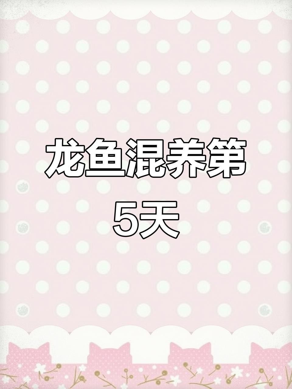 混養(yǎng)龍魚需要多長時(shí)間適應(yīng)