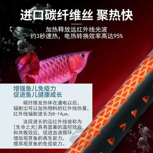 哪種品牌加熱棒適合紅龍魚？