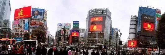 金龍魚的發源地在哪：金龍魚的發源地主要集中在東南亞地區，被認為是較低檔的龍魚品種