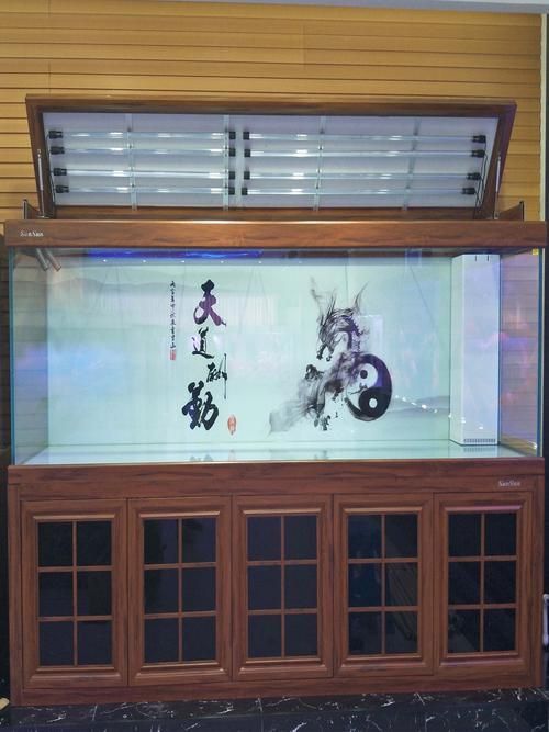 龍魚缸正確擺放圖片 龍魚缸正確擺放圖片 龍魚百科 第22張