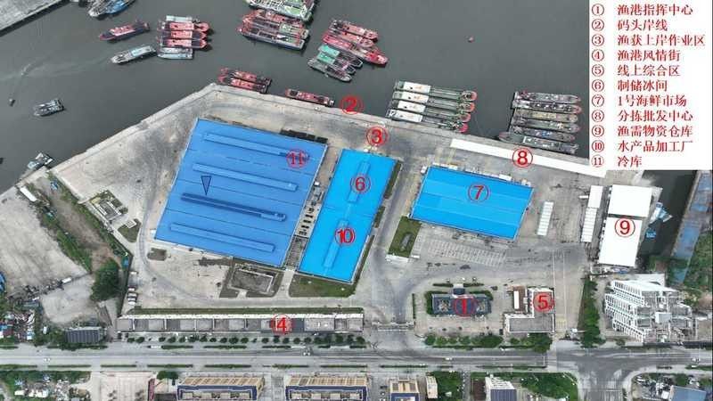 <strong><mark>防城港</mark></strong>金龍魚批發市場在哪里啊多少錢