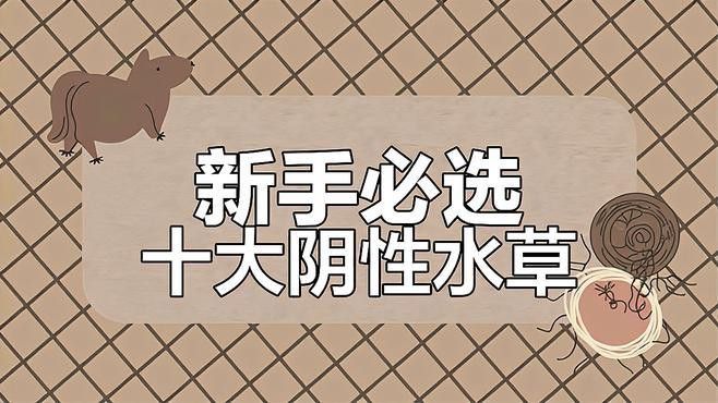 推薦一些適合新手的水草品種