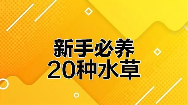 推薦一些適合新手的水草品種