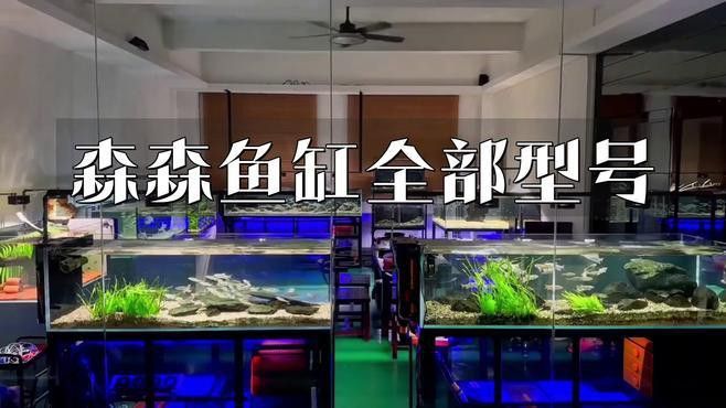 森森龍魚缸的具體型號(hào)有哪些 森森龍魚缸的具體型號(hào)有哪些 龍魚百科 第2張