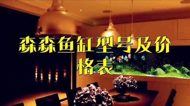 森森龍魚缸的具體型號(hào)有哪些 森森龍魚缸的具體型號(hào)有哪些 龍魚百科 第3張