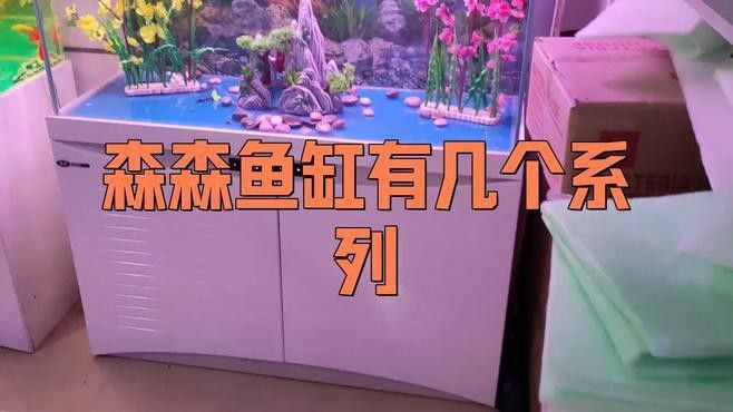 森森龍魚缸的具體型號(hào)有哪些 森森龍魚缸的具體型號(hào)有哪些 龍魚百科 第5張