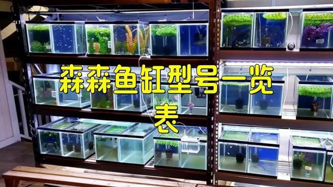 森森龍魚缸的具體型號(hào)有哪些 森森龍魚缸的具體型號(hào)有哪些 龍魚百科 第6張