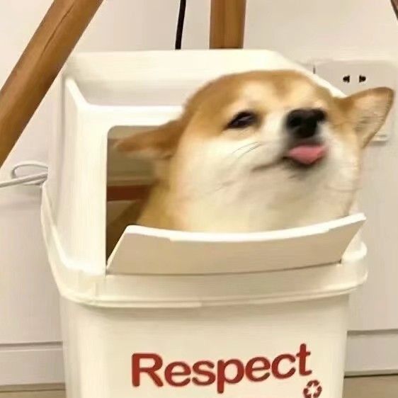 金龍魚是風水魚嗎