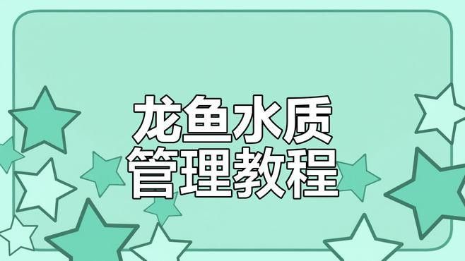 如何調整雷龍魚的環境？ 如何調整雷龍魚的環境？ 龍魚百科 第4張