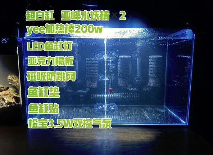 如何調整雷龍魚的環境？ 如何調整雷龍魚的環境？ 龍魚百科 第8張