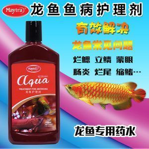 龍魚眼球變白了怎么辦：龍魚眼球變白怎么辦