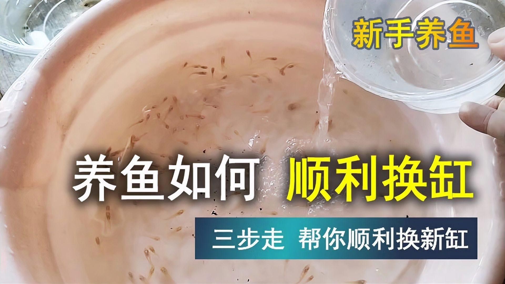 換缸時需要注意哪些事項？