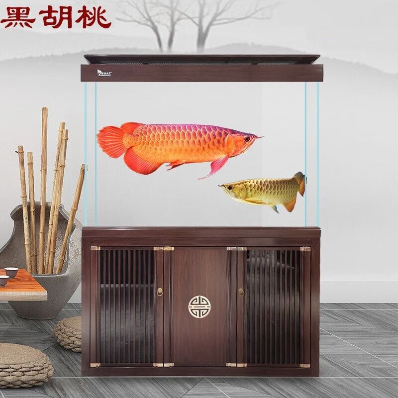 80公分金龍魚價格：80公分的魚缸適合養(yǎng)龍魚嗎？