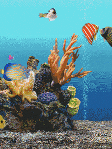 有沒有紅龍魚動態(tài)壁紙? 龍魚百科 第2張 有沒有紅龍魚動態(tài)壁紙? 有沒有紅龍魚動態(tài)壁紙? 龍魚百科 第2張