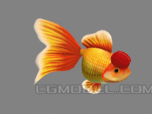 有沒有紅龍魚動態(tài)壁紙? 龍魚百科 第6張 有沒有紅龍魚動態(tài)壁紙? 有沒有紅龍魚動態(tài)壁紙? 龍魚百科 第6張