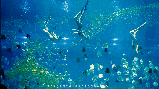 有沒有紅龍魚動態(tài)壁紙? 龍魚百科 第35張 有沒有紅龍魚動態(tài)壁紙? 有沒有紅龍魚動態(tài)壁紙? 龍魚百科 第35張