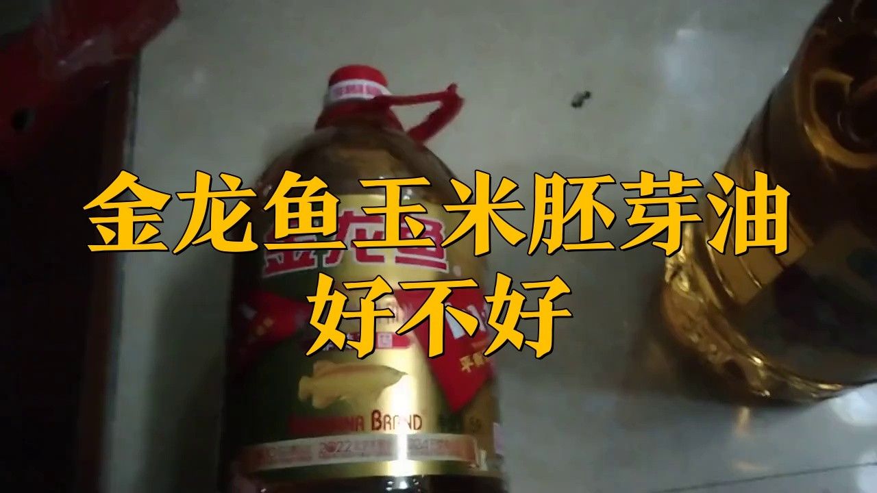 金龍魚玉米油怎么樣好不好