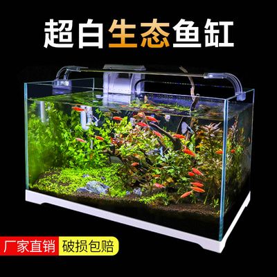 紅龍魚好不好吃怎么看圖片欣賞（紅龍魚好不好吃怎么看圖片欣賞視頻） 紅龍魚好不好吃怎么看圖片欣賞（紅龍魚好不好吃怎么看圖片欣賞視頻） 龍魚百科