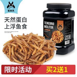 龍魚飼料龍癲：龍魚飼料價格區間查詢龍魚飼料價格區間查詢技巧