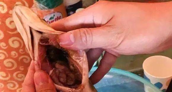 泥鰍給龍魚(yú)吃怎么消毒