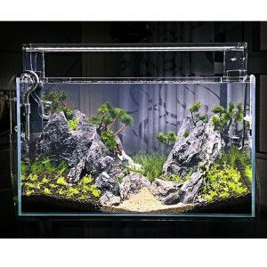 銀龍魚缸里能放水草泥嗎？（銀龍魚缸里可以放水草泥,水草泥在魚缸中有很多作用）