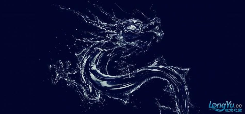 龍魚魚缸背景圖片大全超清圖