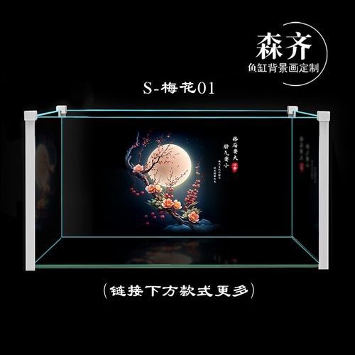 龍魚魚缸背景圖片大全超清圖