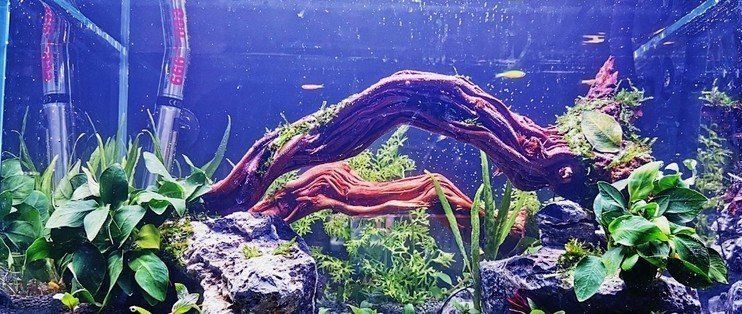 老魚匠水泵怎么調模式