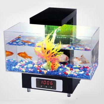 金龍魚最小魚缸尺寸是多大金龍魚最小魚缸尺寸需要注意：金龍魚最小的魚缸尺寸是多大？ 金龍魚最小魚缸尺寸是多大金龍魚最小魚缸尺寸需要注意：金龍魚最小的魚缸尺寸是多大？ 龍魚百科 第1張