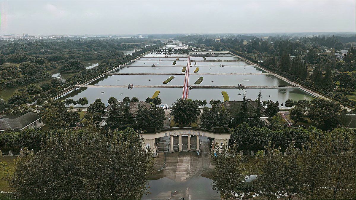 四川龍魚基地地址查詢 四川龍魚基地地址查詢 龍魚百科