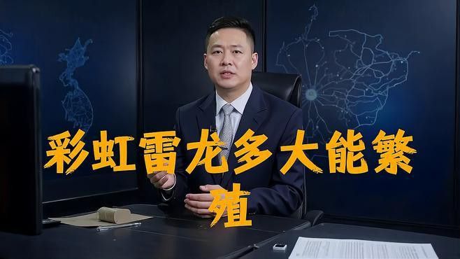 七彩雷龍繁殖期如何護理？