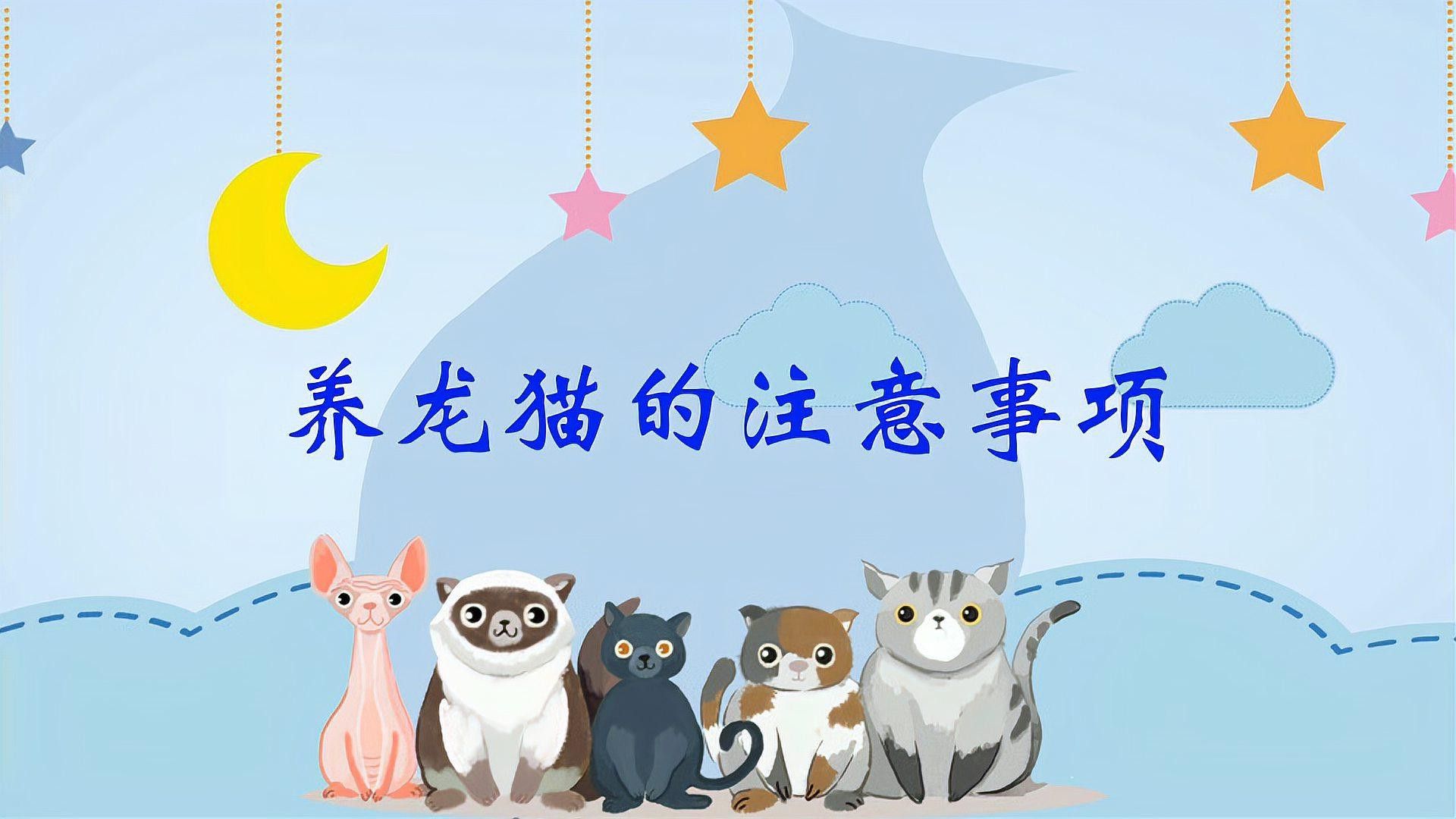 龍貓共養(yǎng)需要注意哪些事項(xiàng)？