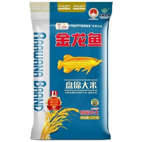 金龍魚高端水產品在哪里購買？