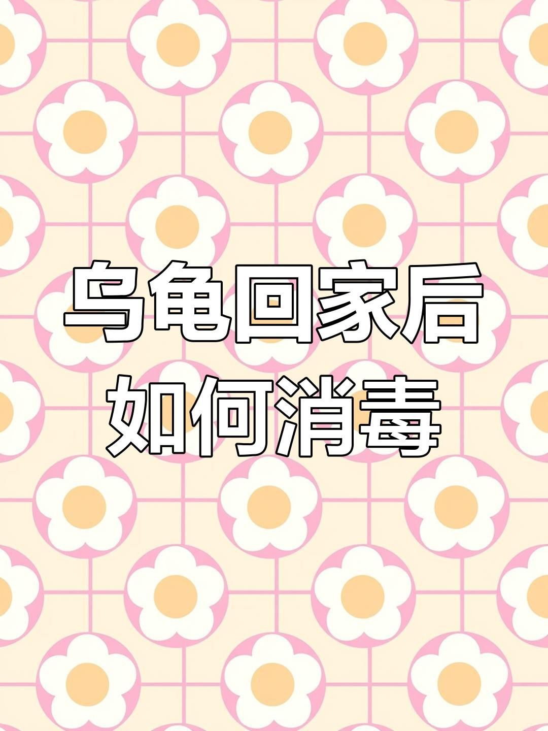 如何判斷龍龜是否需要消毒？