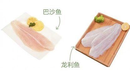 龍魚做法大全龍利魚片的做法大全:清蒸龍利魚片,香煎龍利魚片,龍利魚烹飪技巧分享 龍魚百科 第3張 龍魚做法大全龍利魚片的做法大全:清蒸龍利魚片,香煎龍利魚片,龍利魚烹飪技巧分享 龍魚做法大全龍利魚片的做法大全:清蒸龍利魚片,香煎龍利魚片,龍利魚烹飪技巧分享 龍魚百科 第3張