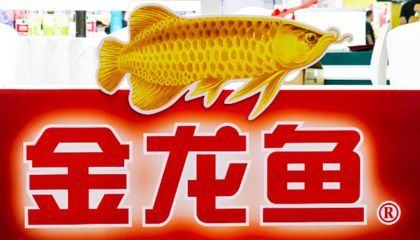 金龍魚安徽有生產地嗎（金龍魚在安徽有生產基地嗎？）