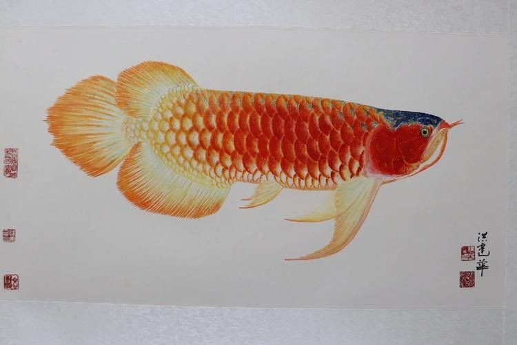 龍魚與生肖龍的藝術作品欣賞