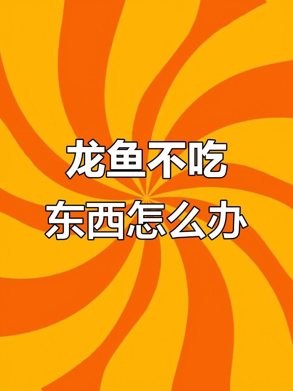 紅龍魚不吃東西應該怎么辦？