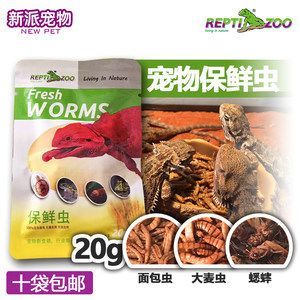 龍魚一般多久喂一次龜糧：龍魚的喂食頻率取決于它們的生長階段和個體和個體大小