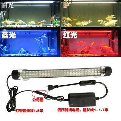 龍魚燈放在什么位置好：關于龍魚燈放置位置的建議：龍魚燈放置位置的幾點建議
