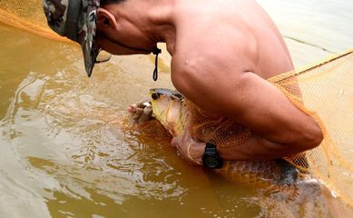 龍魚身體傾斜（龍魚身體傾斜可能由多種原因引起）