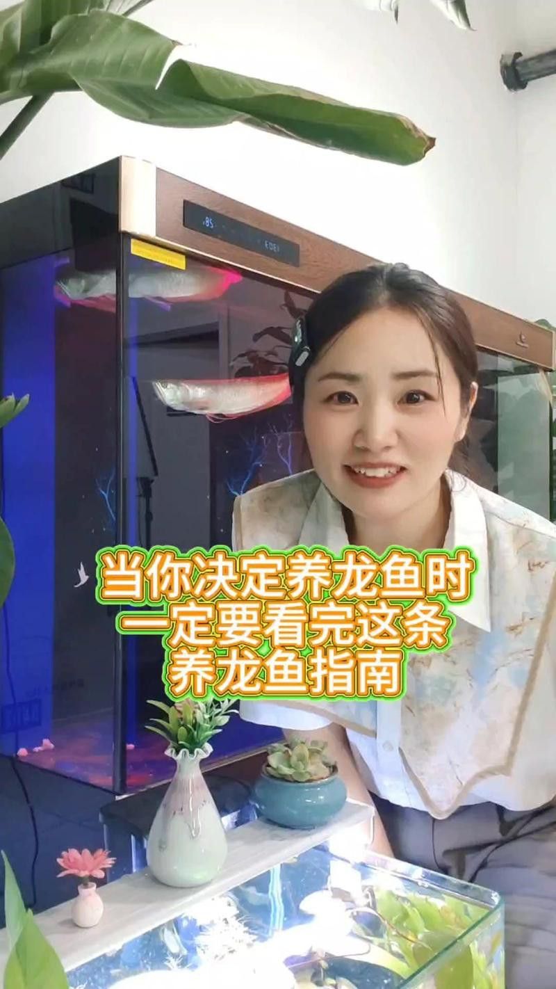新手養龍魚入門教程